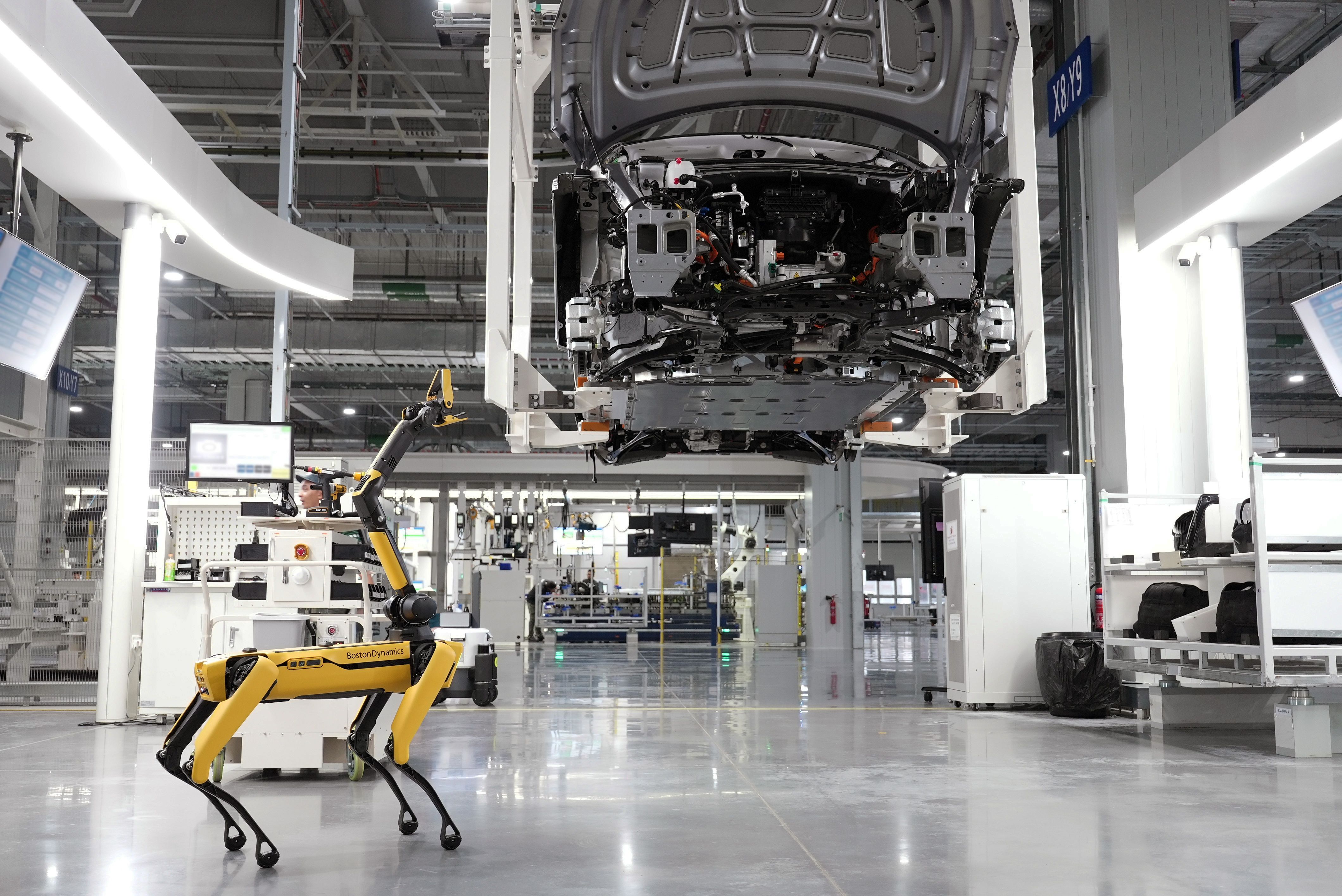 AI & Automation Solutions